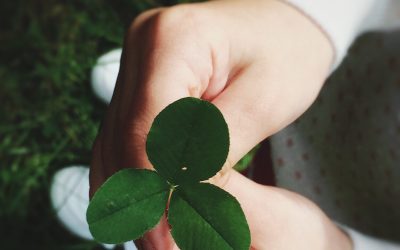 Sustainable Fashion: The Heart of Daughters Fashion Retail Business